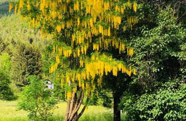 Residence Dolomiti - Foto 38