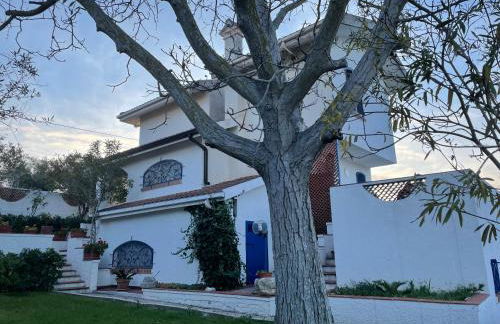 Il Giardino degli Ulivi - Foto 35