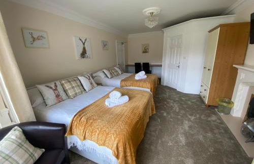 Bellvue Party House - Foto 61