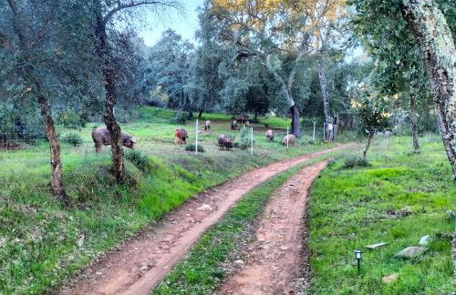 Cortijo Rural El Contador, con chimenea - Photo 52
