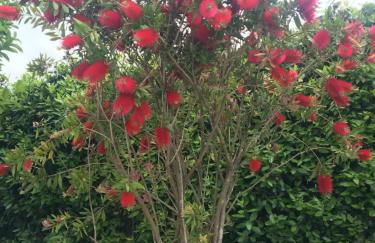 casa pietra del sole - Foto 92