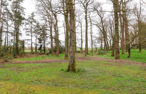 Woodpeckers - Photo 30