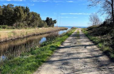 MAISONS BORD DE MER- MARINE DE SORBO - Gîtes 3 épis - Foto 6