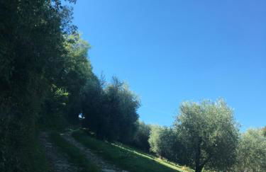 Villa San Regolino whit private pool - Foto 41