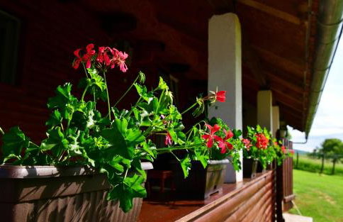 House Luna - Foto 32