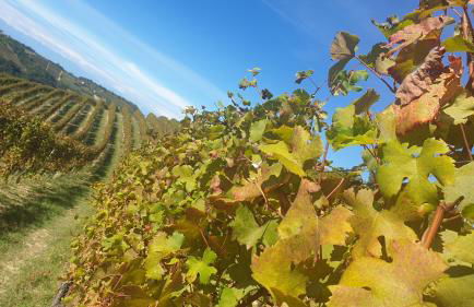 Casa Vacanza Dany House - Foto 14