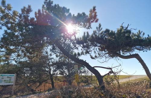 Haus-Fehmarn-am-Dorfteich-|-Wohnung-2-West - Foto 43