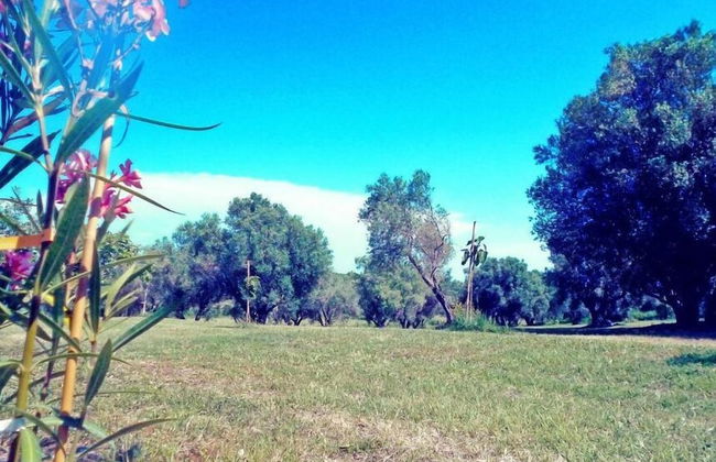 Agriturismo San Matteo - Foto 22