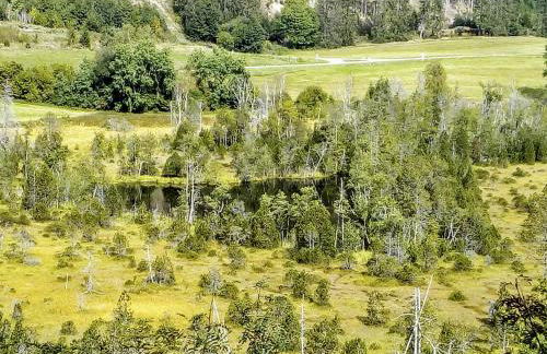 Ferienwohnung Waldrast - Photo 15