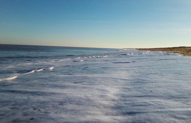 Birdsong Lodge - Peaceful - dog Friendly - Foto 31