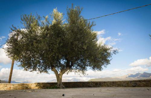 Αρχοντικό Γκιντώνη - Foto 24
