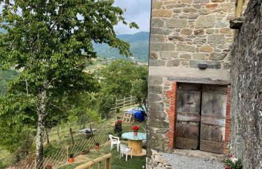 THE DORMOUSE - Il Ghiro - Foto 35