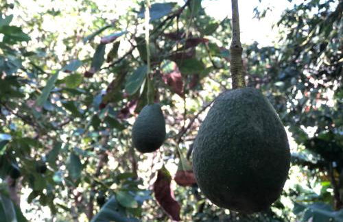 Casa Camino Tamadaba - Foto 57