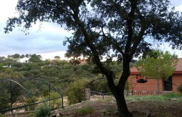 Increíble Casa Rural en la Sierra de Altomira Piscina privada y Barbacoa - Foto 50