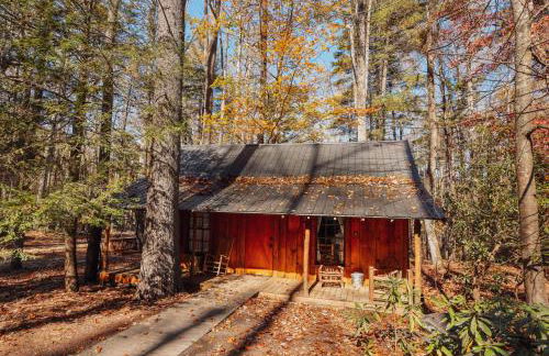 Multiple cabins at Cabin Fever - Foto 34