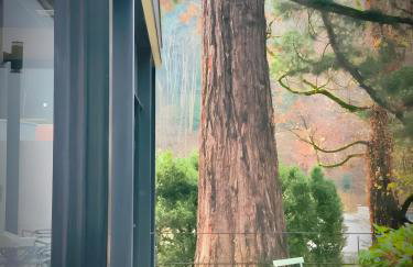 Maison Bourgeoise de caractère - Foto 25