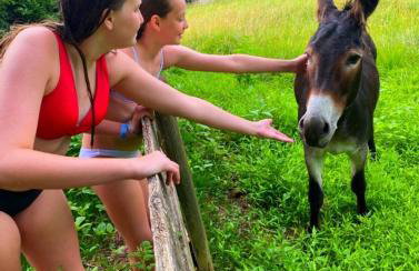 Villa Maud - Foto 13