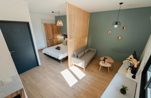 Vina Rhona - Studio de charme tout équipé entre Rhône et Vignobles de Condrieu - Foto 10