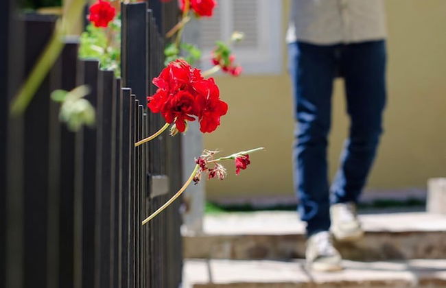 La Finestra sul Colle - Foto 45