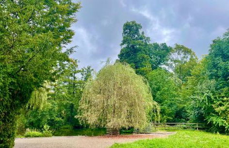 -Am Pfühlpark- Ferienwohnung - Foto 42