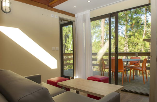 Les Oyats Sylvadoures - Foto 12