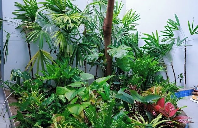 Amazing 3 br Best House Homestay - PT - Foto 50