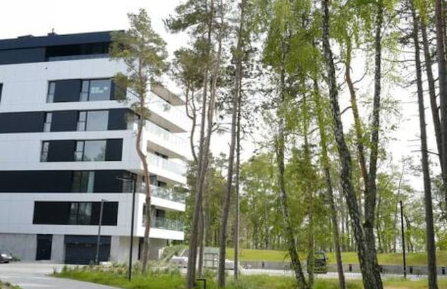 Art Forrest 33 K in Rogowo - Photo 26