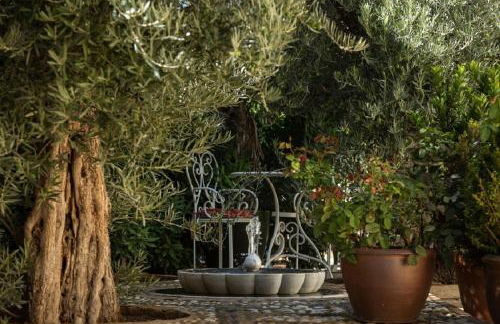 Beautiful Alamedas, un santuario donde el tiempo se detiene - Foto 3