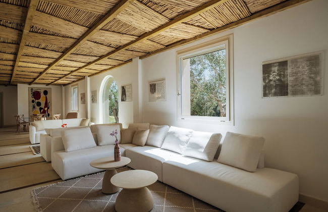 Secolario Masseria Del Viverbene - Foto 7