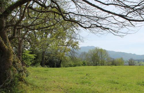 Casa de Aldea en el concejo de Nava, en el centro de Asturias - Foto 37