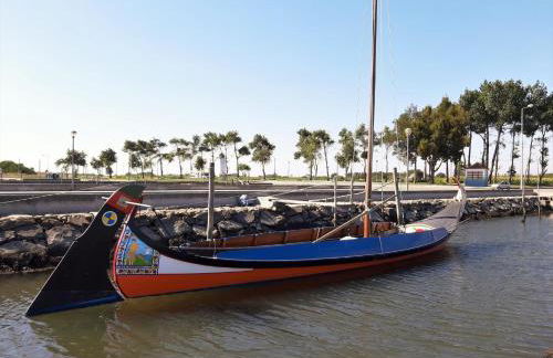 O CANTINHO DA RIA - JACUZZI with water at 35 degrees and POOL - Foto 67