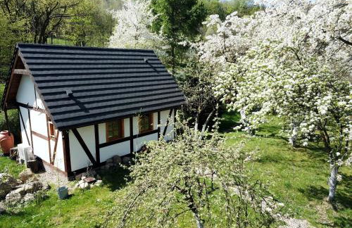 Górski Sad - Bazylia - Foto 2