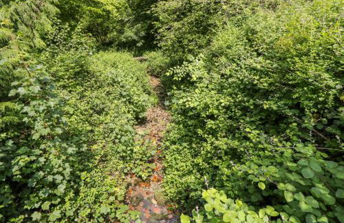 Keepers Cottage - Foto 48