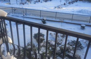 Owocowa Chojnata - Foto 29