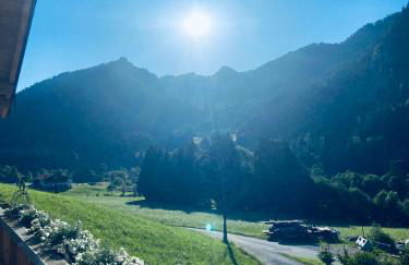 Staller Hof inkl. Chiemgaukarte - Foto 7