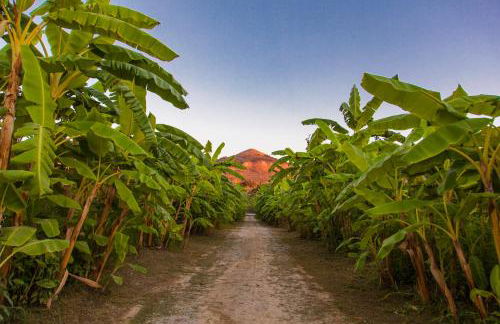 La casa tra i limoni di Rosmarino Park IT083O84B59CP6PX5J - Foto 4