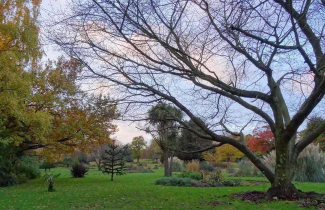 CJ8 Medium Studio - Foto 19