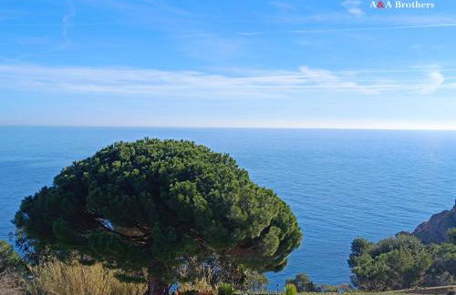 A&A Brothers -The Apartments- - Foto 7