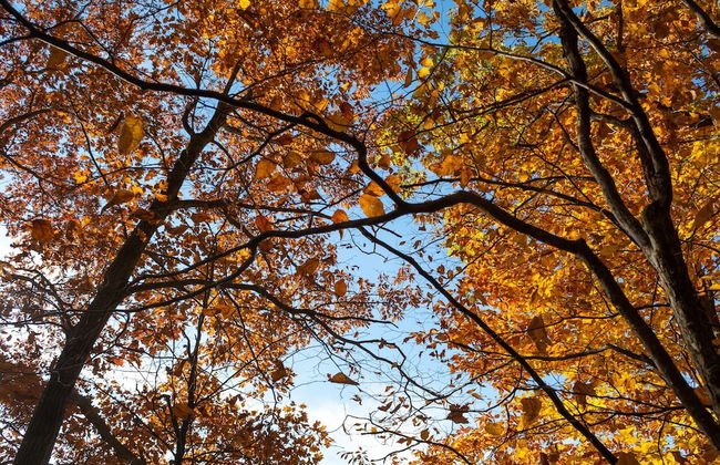 Valley Overlook - Foto 17