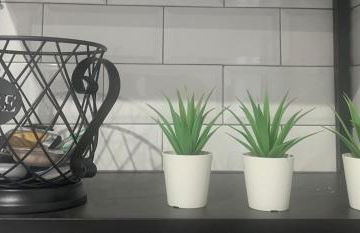 Puerta de Caceres Apartamento 5 Callejón De Don Álvaro - Foto 18