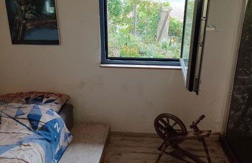 Gemuetlicher Bungalow mit Garten UND Whirlpool in Nakenstorf - Foto 28