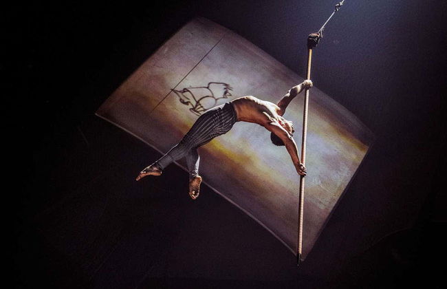 Cirque du Soleil Drawn to Life Tickets - Foto 6