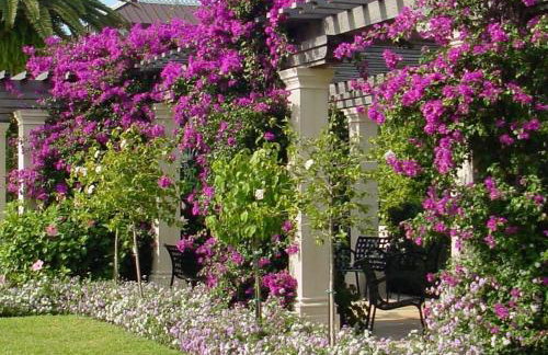 Hemingway Suites at Palm Beach Hotel Island - Photo 35