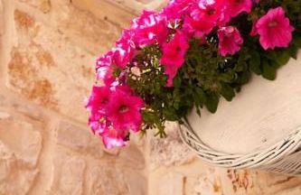 Il Grottino - Foto 10