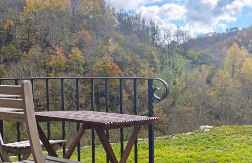 Allotjaments Cal Llarg - Foto 78