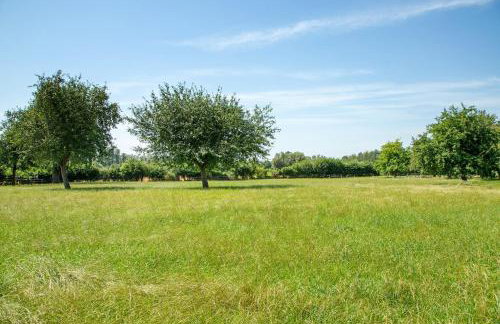 Ferienwohnungen Hackerhof - Photo 22