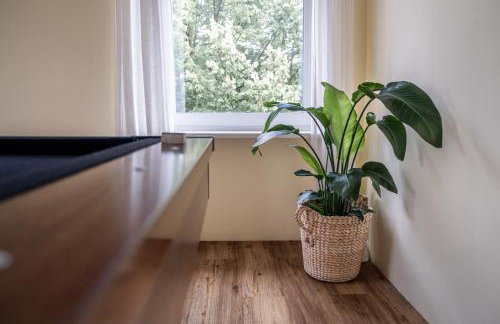 living TIMELESS- Europa Park- Kippenheim - Foto 50