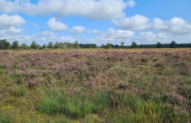 Cozy Holiday Home in a Lovely Environment - Photo 29