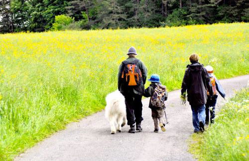 Landhaus am Schloss - Foto 38