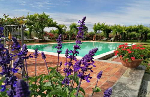 Podere Piandarca - Photo 55